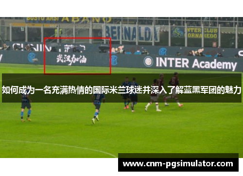 如何成为一名充满热情的国际米兰球迷并深入了解蓝黑军团的魅力