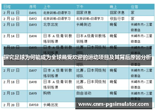 探究足球为何能成为全球最受欢迎的运动项目及其背后原因分析