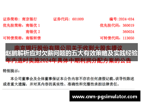 赵鹏解析应对欠薪问题的五大有效策略及实践经验
